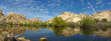 Barker Dam Reflection at Joshua Tree II