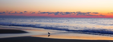Bethany Beach Sunrise I
