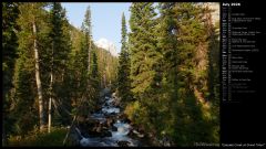 Cascade Creek at Grand Teton
