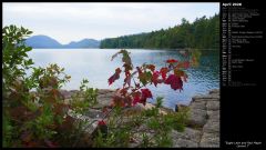 Eagle Lake and Red Maple Leaves I