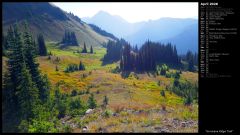 Hurricane Ridge Trail