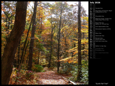 Sunlit Fall Trail