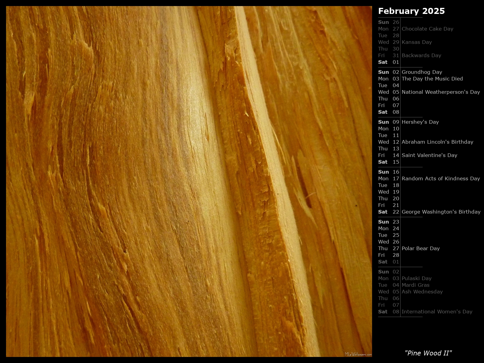 Mlewallpapers Com Pine Wood Ii Calendar Images, Photos, Reviews