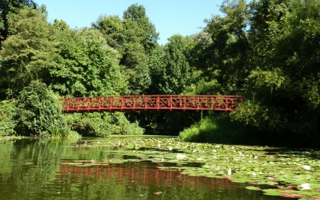 Bridge at Centennial Lake