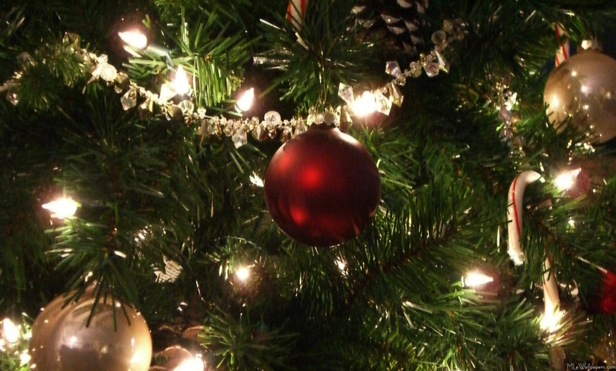  - Christmas Tree I